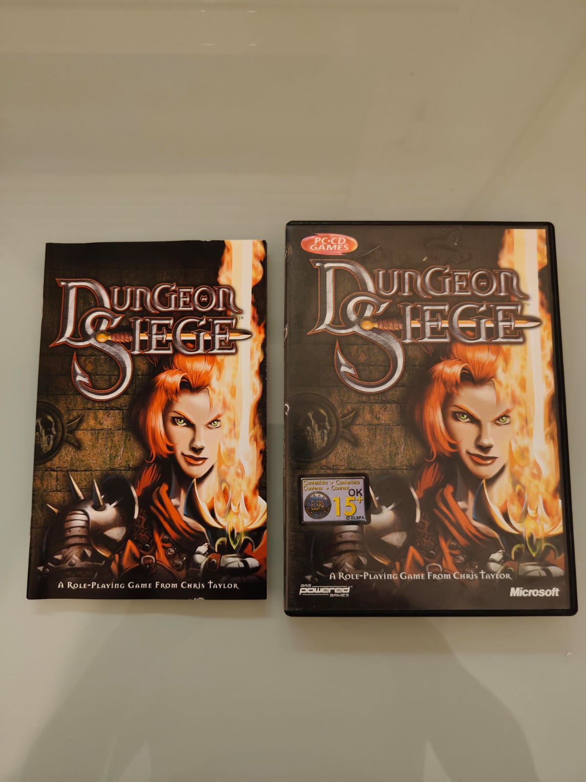 Dungeon Siege PC completo versión UK - Estado cuidado